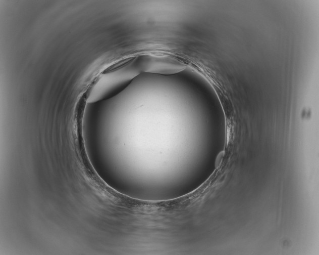 X0000090970339200708091441