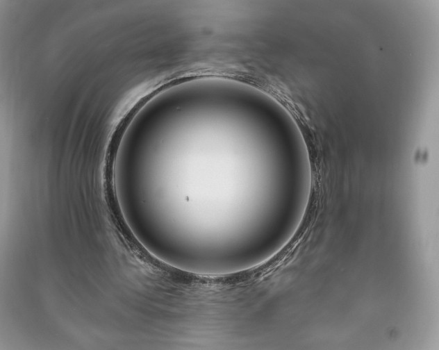 X0000090970340200708091441