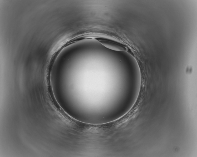 X0000090970341200708091441