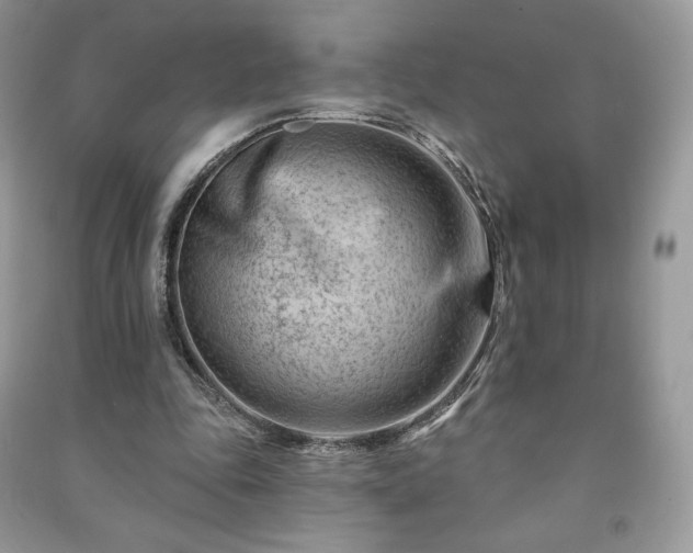 X0000090970343200708091441