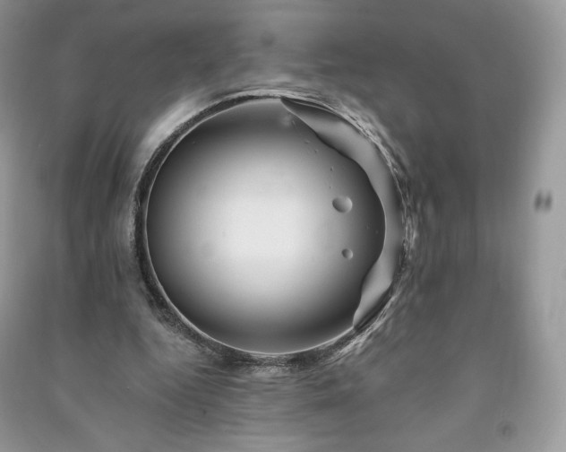 X0000090970344200708091441