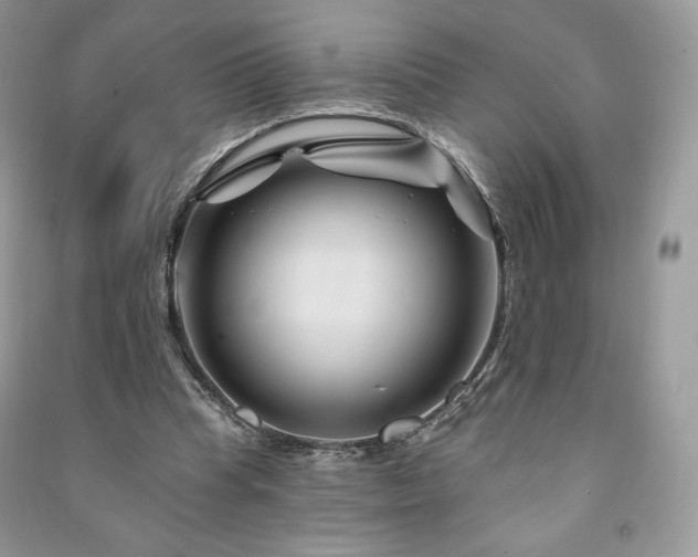 X0000090970345200708091441