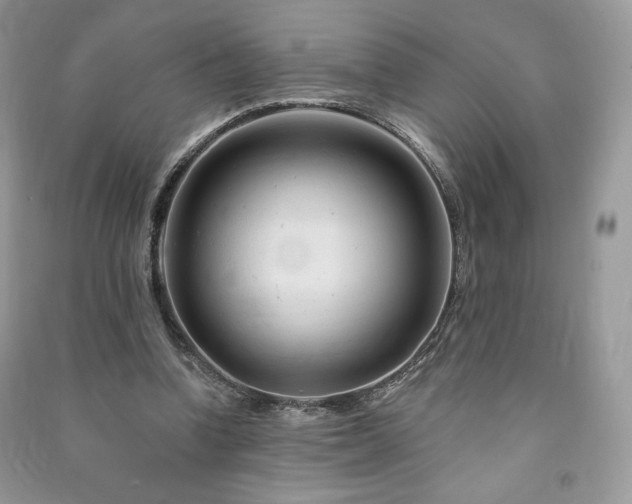 X0000090970346200708091441