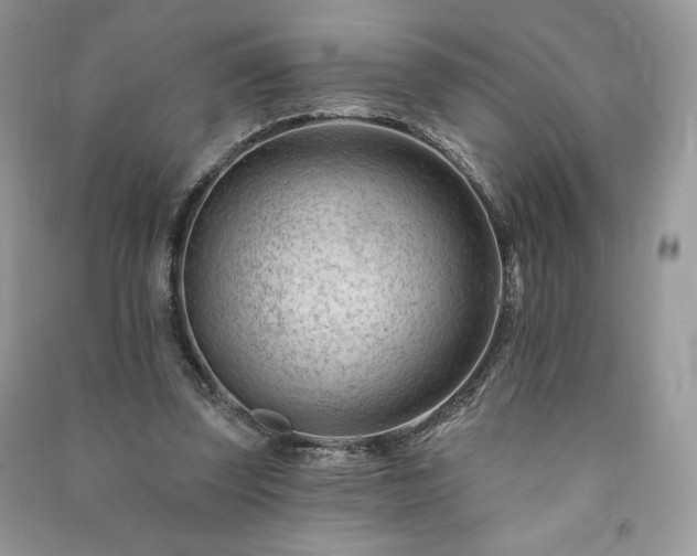 X0000090970347200708091441