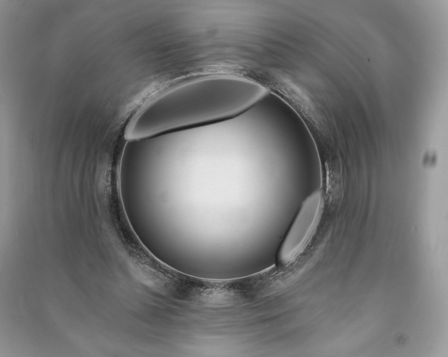 X0000090970348200708091441