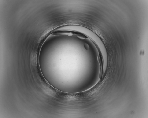 X0000090970349200708091441