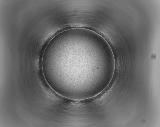 X0000090970351200708091441