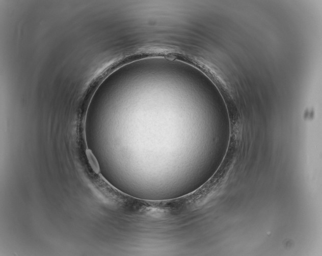 X0000090970352200708091441