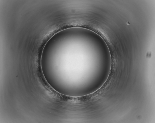 X0000090970354200708091441