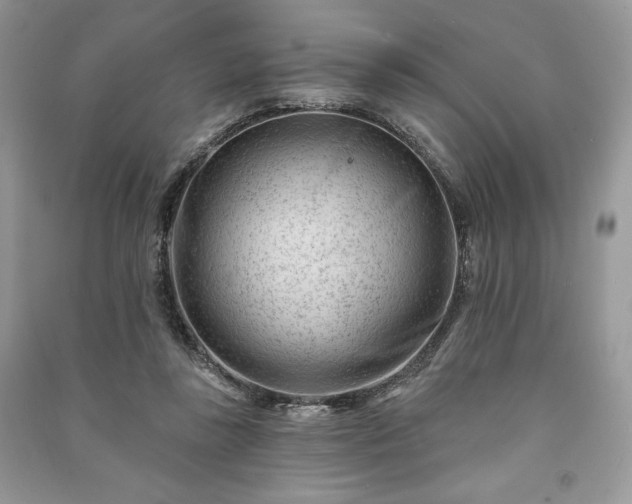 X0000090970355200708091441