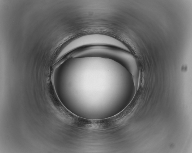 X0000090970356200708091441