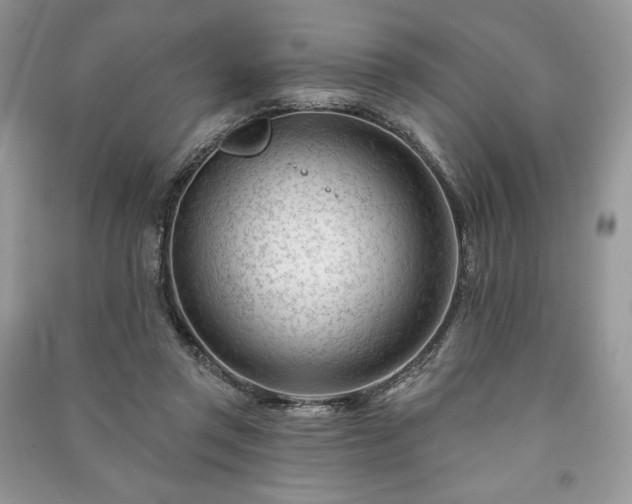 X0000090970357200708091441