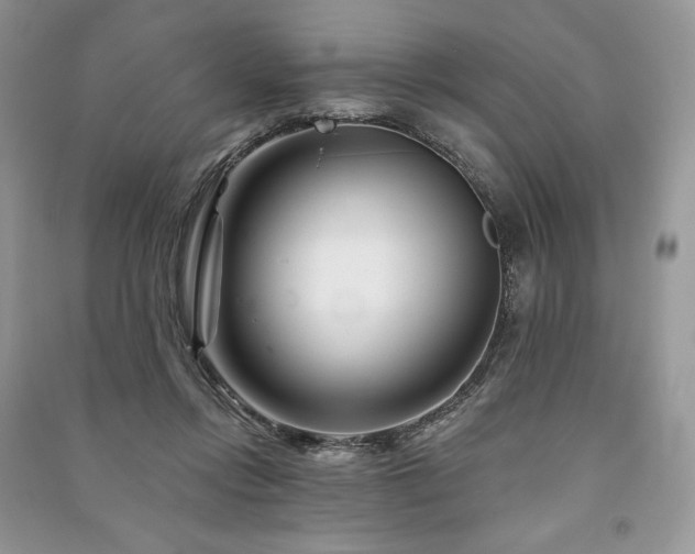 X0000090970358200708091441