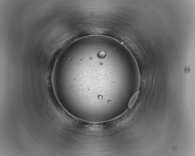 X0000090970359200708091441