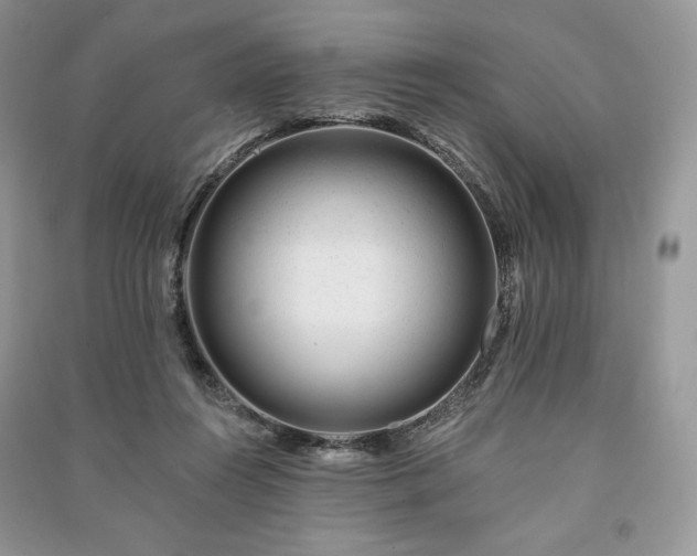 X0000090970360200708091441