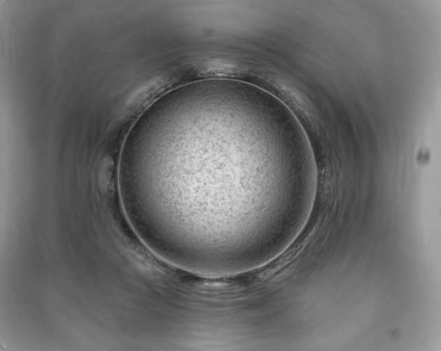 X0000090970361200708091441