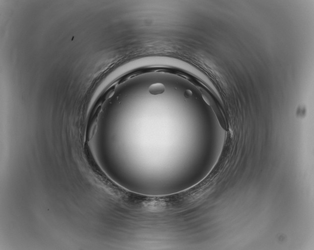 X0000090970362200708091441