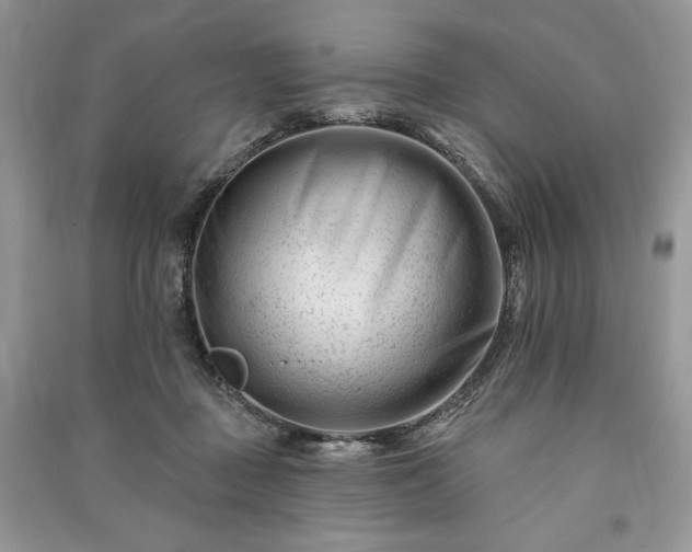 X0000090970363200708091441