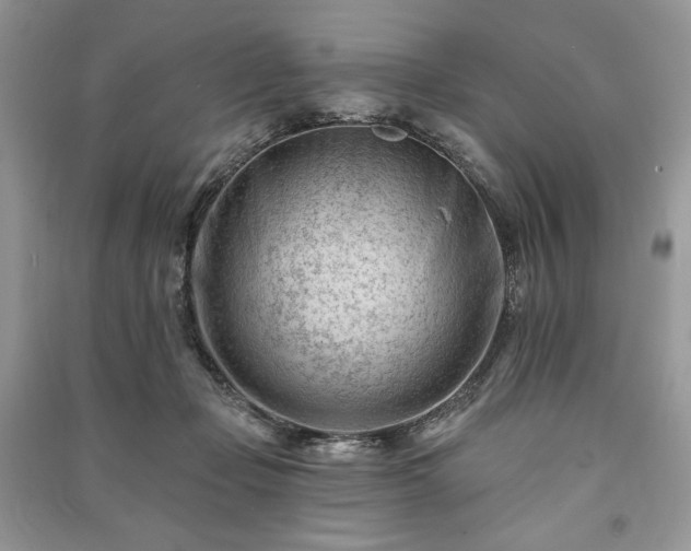 X0000090970365200708091441