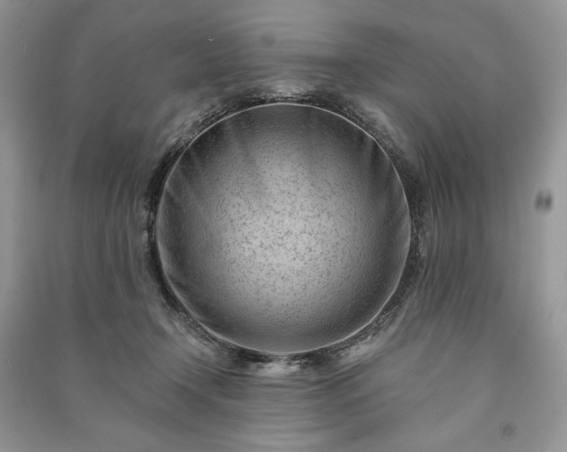 X0000090970366200708091441