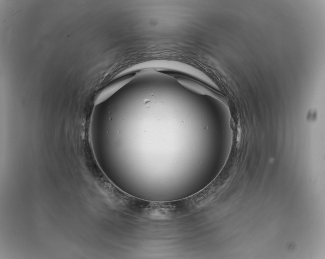 X0000090970368200708091441