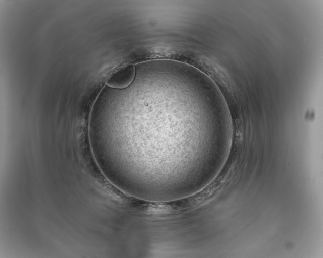 X0000090970369200708091441