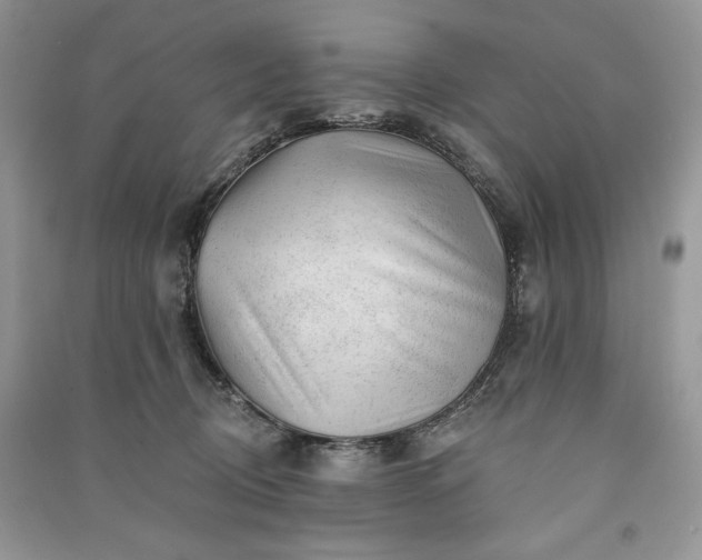 X0000090970370200708091441