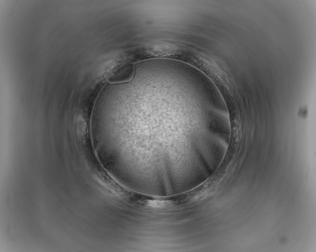 X0000090970371200708091441