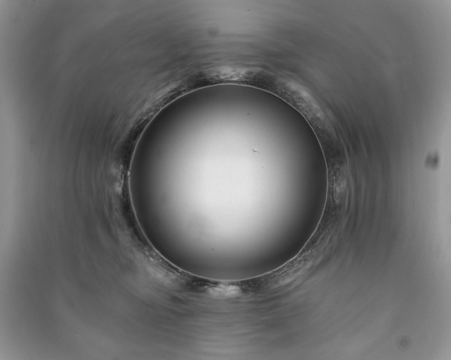 X0000090970374200708091441