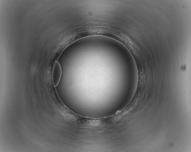 X0000090970377200708091441