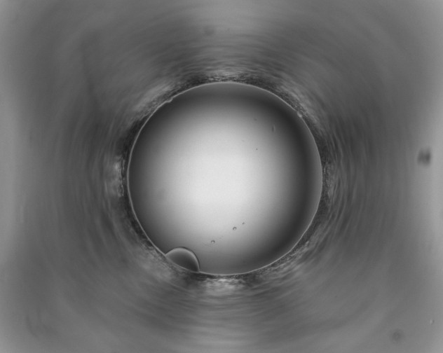 X0000090970378200708091441