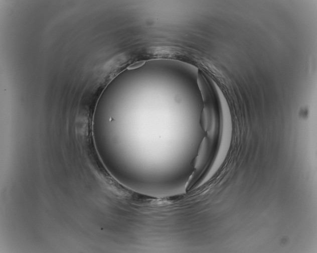 X0000090970379200708091441