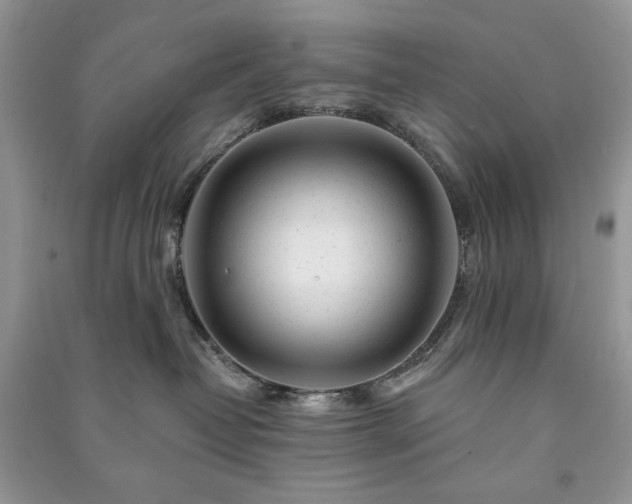 X0000090970382200708091441