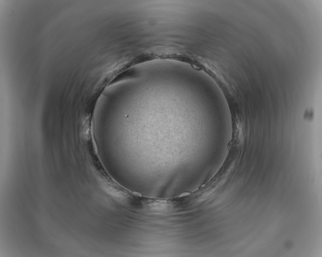 X0000090970383200708091441