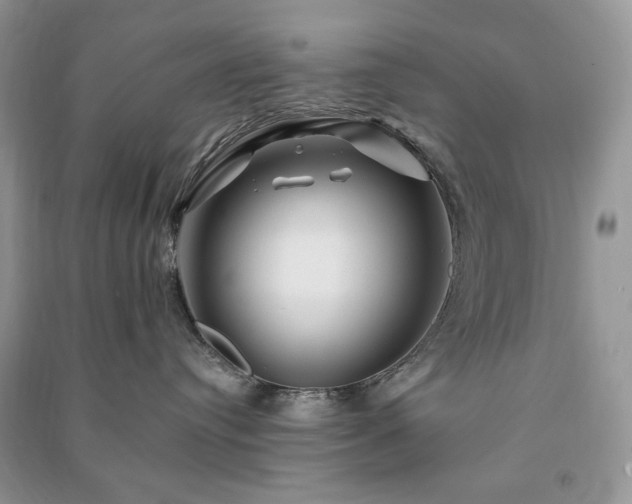 X0000090970384200708091441