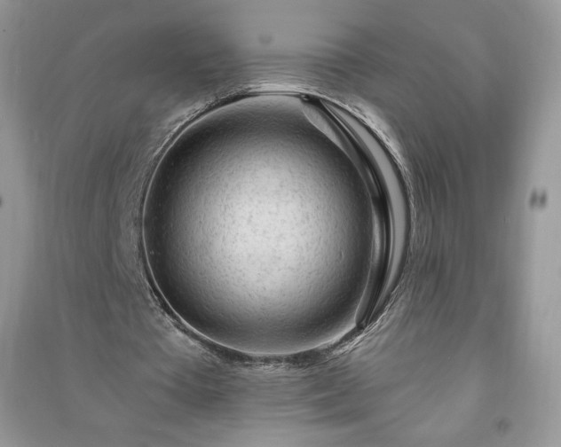 X0000090970385200708091441