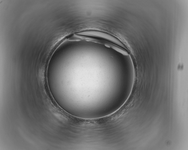 X0000090970386200708091441