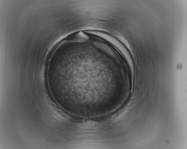 X0000090970387200708091441