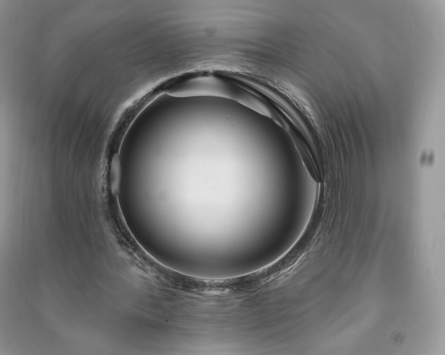 X0000090970388200708091441