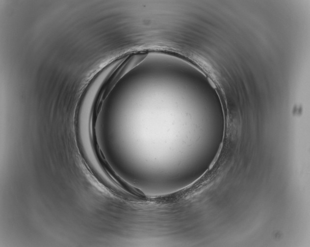 X0000090970389200708091441