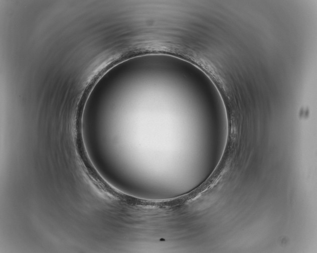 X0000090970390200708091441