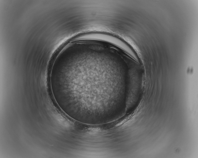 X0000090970391200708091441