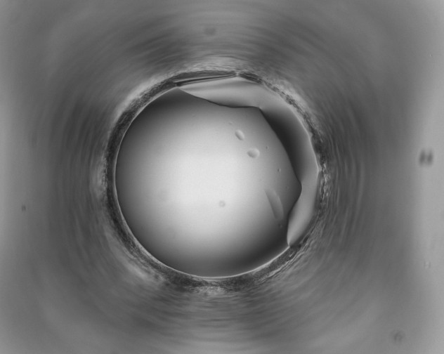 X0000090970392200708091441