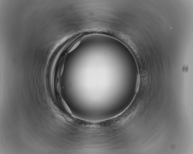 X0000090970395200708091441