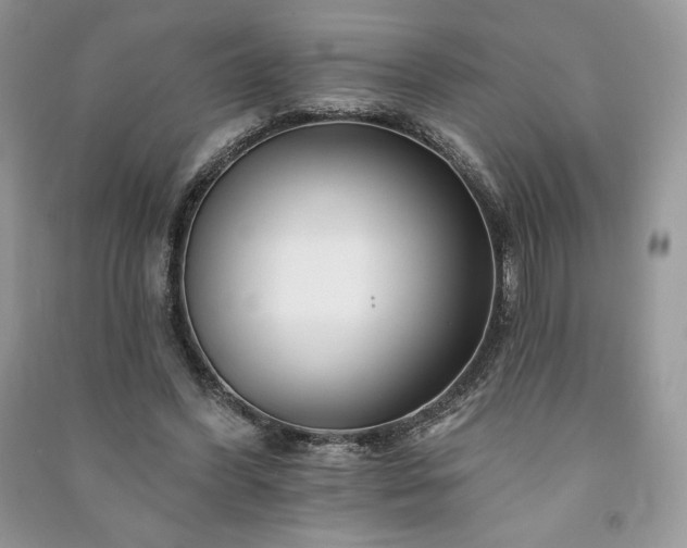 X0000090970396200708091441