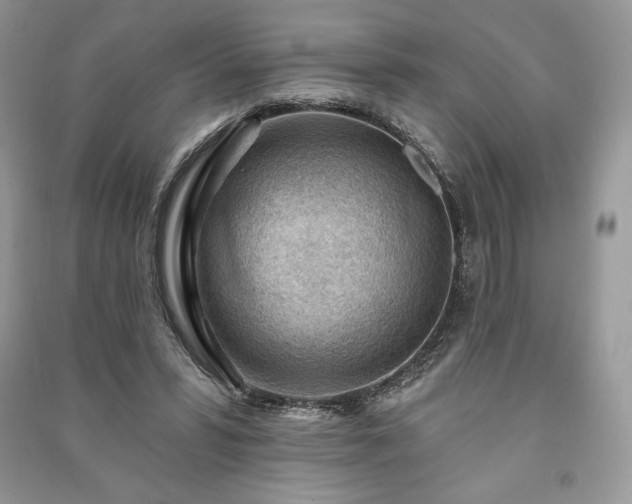 X0000090970399200708091441