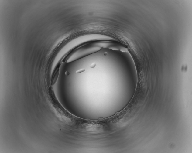 X0000090970400200708091441