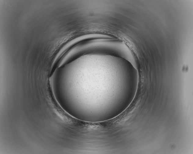 X0000090970401200708091441