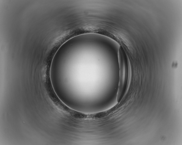 X0000090970404200708091441