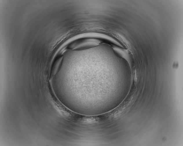 X0000090970405200708091441